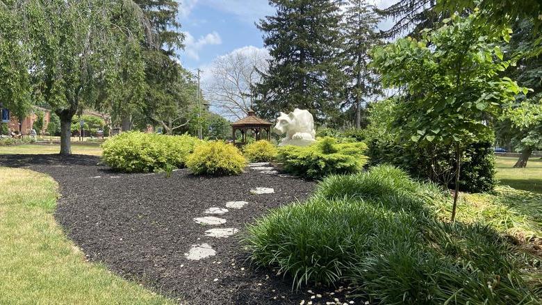 Nittany lion statue and trees on Schuylkill campus